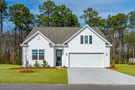 New construction Single-Family house 1024 Wading Point Boulevard, Huger, SC 29450 - photo 0