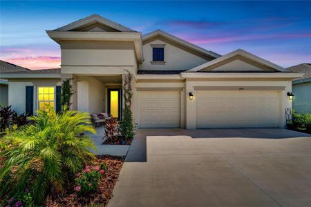 New construction Single-Family house 5995 Golden Nettle Drive, Apollo Beach, FL 33572 - photo 1 1