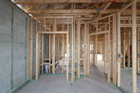 New construction Single-Family house 2941 Marine Grass Drive, Wimauma, FL 33598 Barcello- photo 9 9
