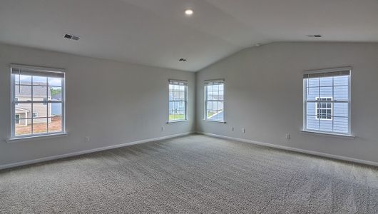 New construction Single-Family house 8114 Kennesaw Drive, Gastonia, NC 28056 Georgetown- photo 15 15