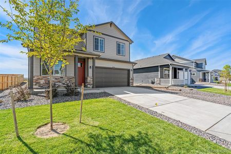 New construction Single-Family house 13464 Valentia Place, Thornton, CO 80602 BELLAMY- photo 1 1