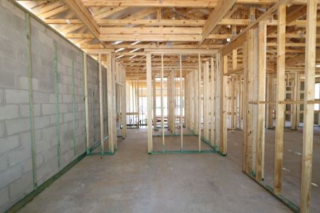 New construction Single-Family house 12032 Hilltop Farms Drive, Dade City, FL 33525 Marque- photo 17 17