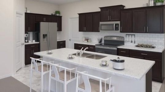 New construction Single-Family house 2505 Relaxing Lane, Kissimmee, FL 34744 - photo
