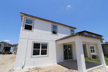 New construction Single-Family house 2463 Sunny Pebble Loop, Zephyrhills, FL 33540 Castellana- photo 91 91