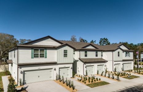New construction Single-Family house 13177 Stillmont Pl, Tampa, FL 33624 Sycamore- photo
