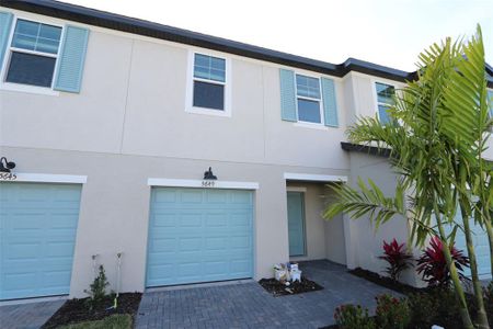 New construction Townhouse house 5649 Tripoli Drive, Palmetto, FL 34221 Alexander - Townhomes- photo 1 1