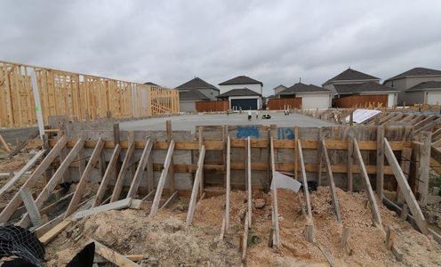 New construction Single-Family house 112 Makinaw Rd, Hutto, TX 78634 - photo 15 15