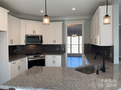 New construction Single-Family house 121 Peacehaven Place, Unit 14, Statesville, NC 28625 - photo 8 8