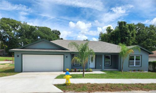 New construction Single-Family house 5207 Peach Avenue, Seffner, FL 33584 - photo 27 27