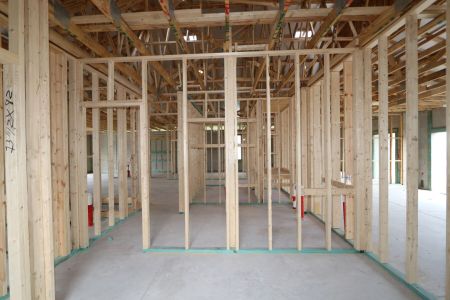 New construction Single-Family house 5082 Bromeliad Avenue, Wimauma, FL 33598 Barcello- photo 12 12