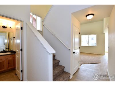 New construction Single-Family house 2333 Graceful St, Windsor, CO 80550 The New Jersey- photo 20 20