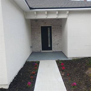 New construction Single-Family house 244 Dirksen Drive, Debary, FL 32713 - photo 53 53