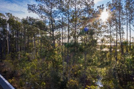 New construction Single-Family house 1702 Cultivation Lane Street, Unit 540, Mount Pleasant, SC 29466 - photo 81 81