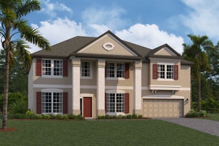 New construction Single-Family house 10805 Rolling Moss Road, Tampa, FL 33647 - photo 8 8