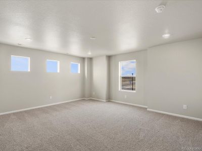 New construction Single-Family house 569 Red Rock Place, Brighton, CO 80603 Snowberry- photo 14 14