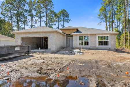 New construction Single-Family house 39 Boxwood Lane, Palm Coast, FL 32137 Heron- photo 12 12