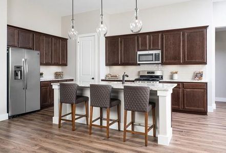 Inspiration Collection at Union Park by Tri Pointe Homes in Little Elm - photo 34