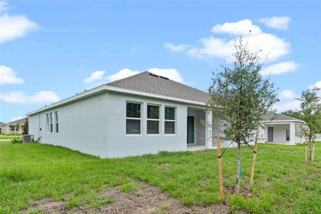 New construction Single-Family house 1967 Winnie Court, Apopka, FL 32712 Largo- photo 19 19