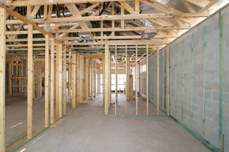 New construction Single-Family house 2530 Sunny Pebble Loop, Zephyrhills, FL 33540 Salinas- photo 36 36
