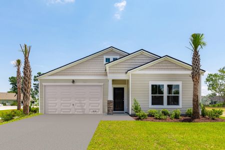 New construction Single-Family house 217 Dean Hall Avenue, Moncks Corner, SC 29461 - photo 0