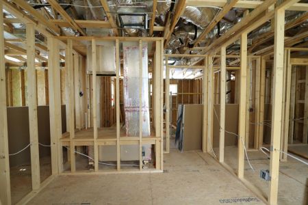 New construction Single-Family house 2868 Misty Marble Drive, Zephyrhills, FL 33540 Herrera- photo 51 51