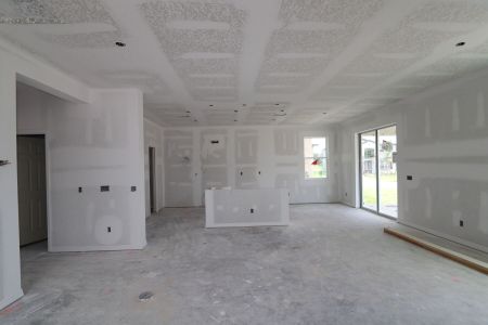 New construction Single-Family house 2463 Sunny Pebble Loop, Zephyrhills, FL 33540 Castellana- photo 78 78