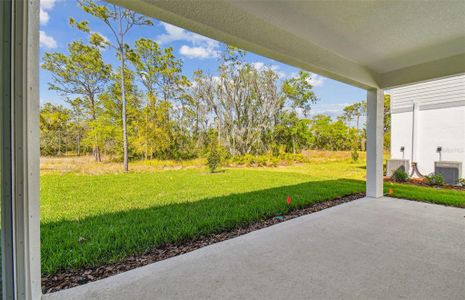New construction Single-Family house 12648 Hayes Clan Road, Riverview, FL 33579 Yorkshire- photo 30 30