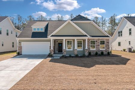 New construction Single-Family house 152 Huguenot Trail, Huger, SC 29450 - photo 0