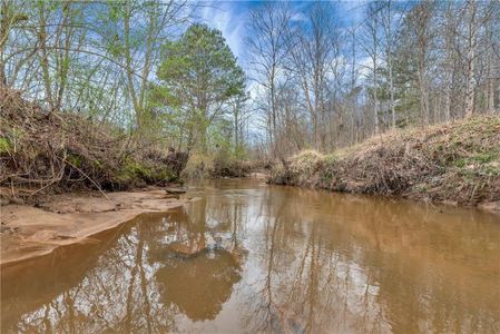 New construction Single-Family house 1197 Dee Kennedy Road, Auburn, GA 30011 - photo 68 68