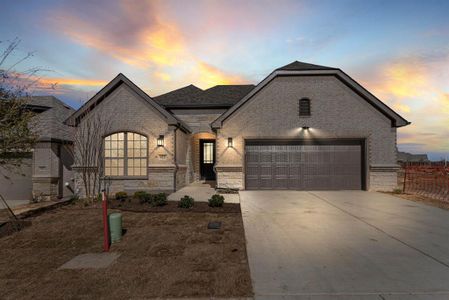 New construction Single-Family house 925 Capella Lane, Mansfield, TX 76063  Portico- photo