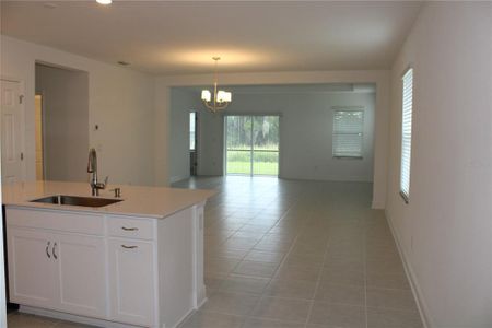 New construction Single-Family house 9221 Westernwoods Avenue, Parrish, FL 34219 Camelia- photo 3 3