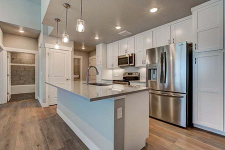 New construction Multi-Family house 827 Schlagel Street, Fort Collins, CO 80524 - photo 67 67