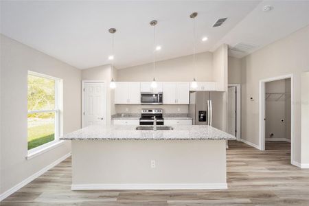 New construction Single-Family house 12180 Sw 81St Street, Dunnellon, FL 34432 - photo 4 4
