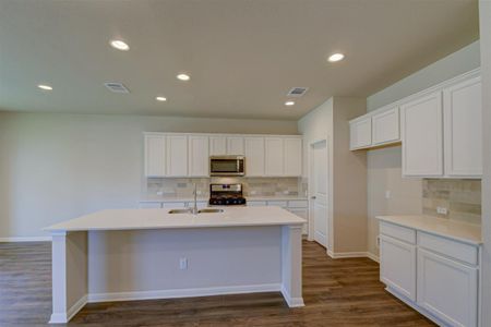 New construction Single-Family house 105 Orchard Park Drive, Liberty Hill, TX 78642 - photo 14 14