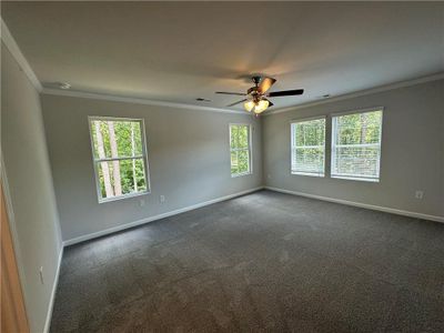 New construction Single-Family house 235 Paces Overlook Trace, Dallas, GA 30157 - photo 21 21