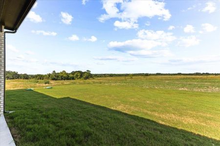 New construction Single-Family house 139 Quiet Waters Way, Waxahachie, TX 75165 San Marino II- photo 29 29