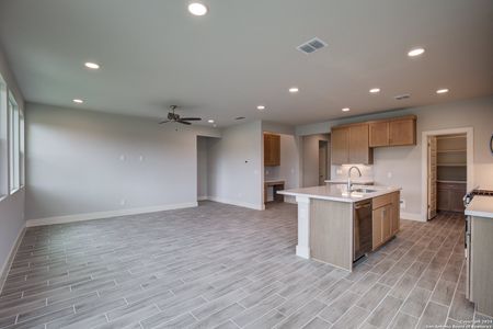 New construction Single-Family house 11115 Lowder Lane, San Antonio, TX 78233 Journey- photo 16 16