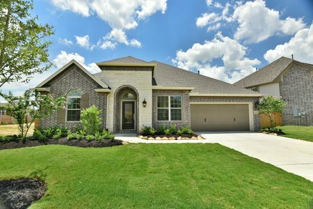 The Meadows at Imperial Oaks by David Weekley Homes in Conroe - photo 8 8