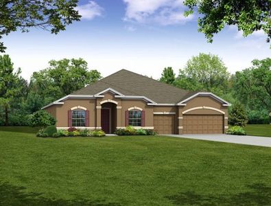 New construction Single-Family house Tbd Newell Rd, Leesburg, FL 34748 The Livorno- photo 0 0