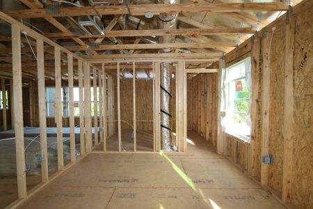 New construction Single-Family house 12114 Hilltop Farms Drive, Dade City, FL 33525 Alenza- photo 95 95