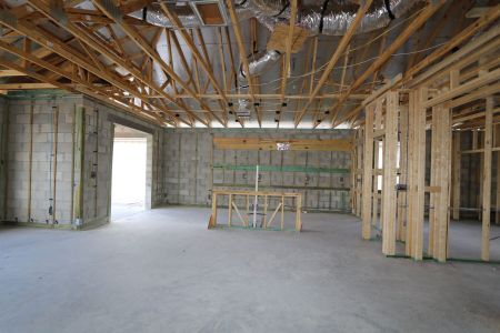 New construction Single-Family house 4833 Foxglove Circle, Lakeland, FL 33811 Marque- photo 17 17