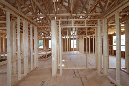 New construction Single-Family house 31801 Sapna Chime Drive, Wesley Chapel, FL 33545 Alenza- photo 24 24