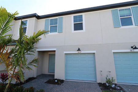 New construction Townhouse house 5637 Tripoli Drive, Palmetto, FL 34221 Alexander - Townhomes- photo 1 1