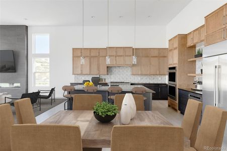 Vector at the Canyons by Infinity Properties in Castle Pines - photo 16 16