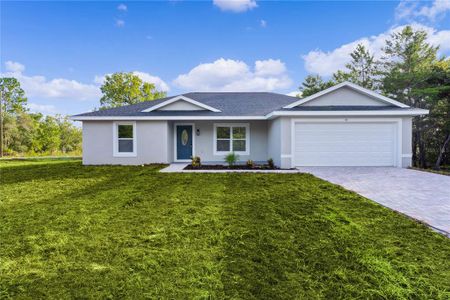 New construction Single-Family house 43 Malauka Drive, Ocklawaha, FL 32179 - photo 0