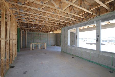New construction Single-Family house 31870 Sapna Chime Drive, Wesley Chapel, FL 33545 Casanova- photo 23 23