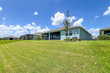 New construction Single-Family house 5206 123Rd Avenue E, Parrish, FL 34219 - photo 47 47