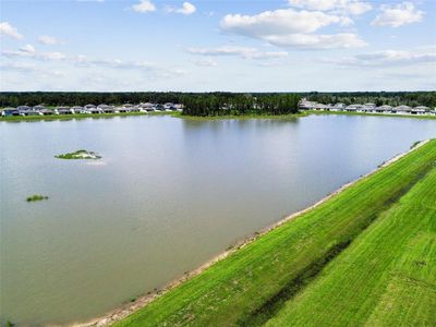 New construction Single-Family house 1409 Tropical Oasis Avenue, Plant City, FL 33565 - photo 27 27