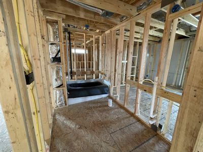 New construction Single-Family house 1308 Dog Iron Court, Georgetown, TX 78628 Wyatt Homeplan- photo 25 25