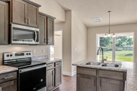 New construction Single-Family house 7077 Sw 179Th Court Rd, Dunnellon, FL 34432 2169- photo 10 10